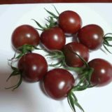 紫トマト