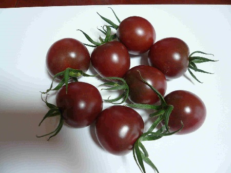 紫トマト