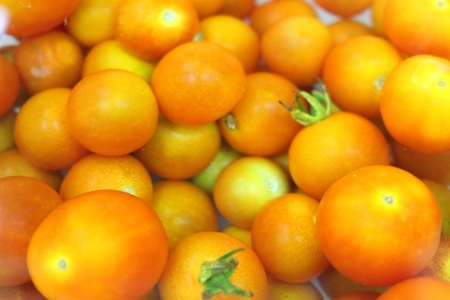 オレンジトマト