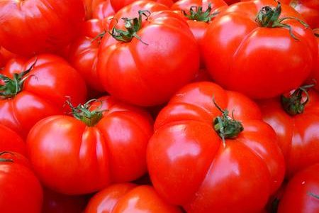 イタリアと日本のトマト産業の違い：比較と相互影響