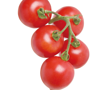 フルーツルビーEXというトマトは？味の特徴や家庭菜園向き？